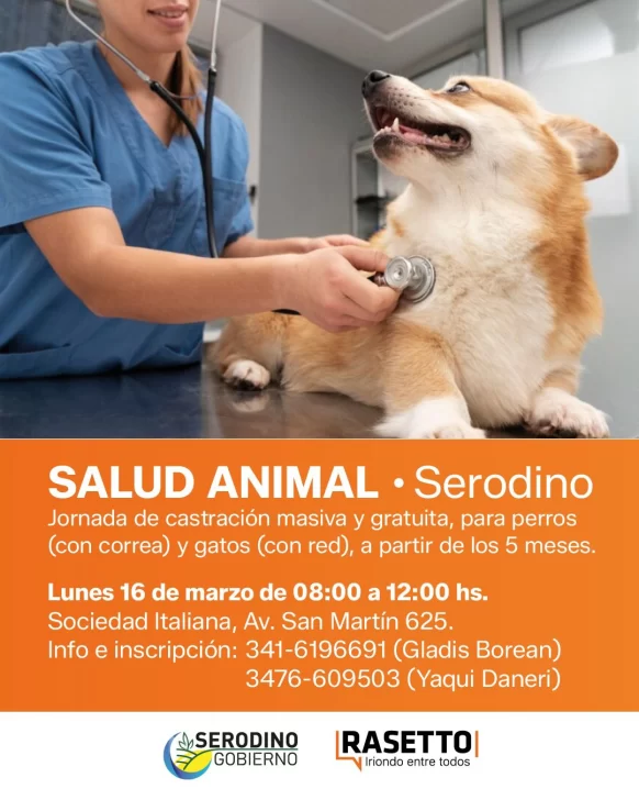 WhatsApp-Image-2026-03-06-at-11.33.41-582x728