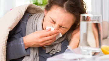 Alerta sanitaria en Santa Fe: confirmaron una muerte por gripe A y crecen los casos graves de psitacosis Alerta sanitaria en Santa Fe: confirmaron una muerte por gripe A y crecen los casos graves de psitacosis