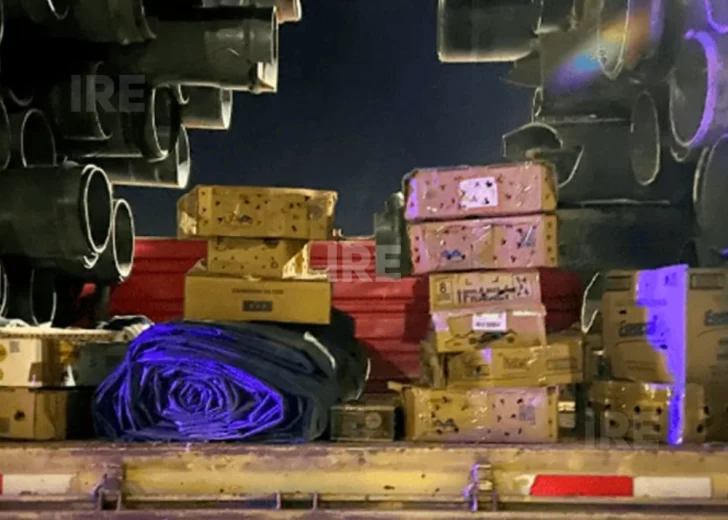 Rescataron más de 500 aves silvestres ocultas en cajas en un camión en Timbúes Rescataron más de 500 aves silvestres ocultas en cajas en un camión en Timbúes