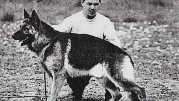 Día Nacional del Perro: La historia de Chonino, el héroe que dio su vida y quedó en la memoria de los argentinos Día Nacional del Perro: La historia de Chonino, el héroe que dio su vida y quedó en la memoria de los argentinos