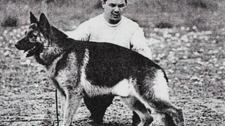 Día Nacional del Perro: La historia de Chonino, el héroe que dio su vida y quedó en la memoria de los argentinos Día Nacional del Perro: La historia de Chonino, el héroe que dio su vida y quedó en la memoria de los argentinos