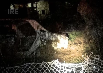 Un puma sorprendió a vecinos de Carrizales y activó un operativo de monitoreo Un puma sorprendió a vecinos de Carrizales y activó un operativo de monitoreo